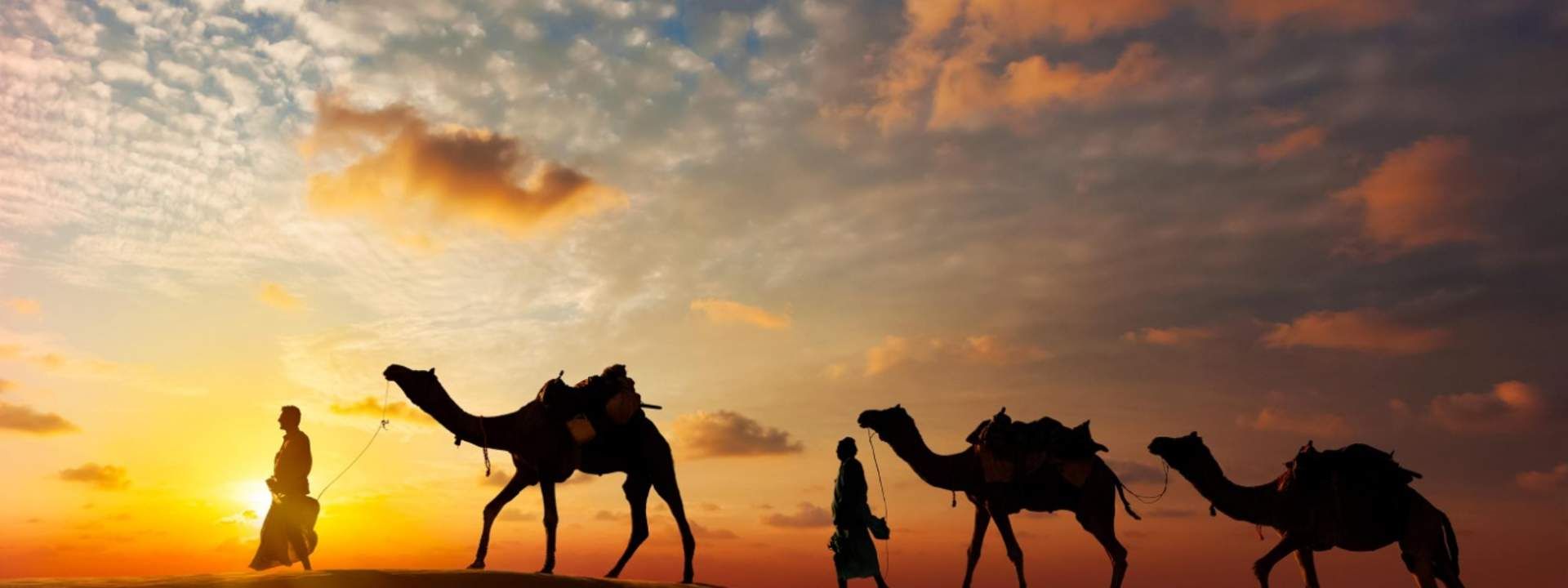 Camel Safari Experience In Jodhpur