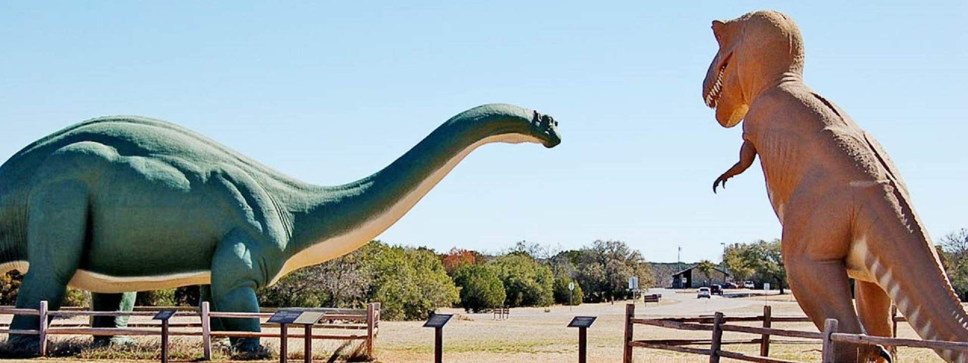Dinosaur and Fossil Park Tour in Ahmedabad