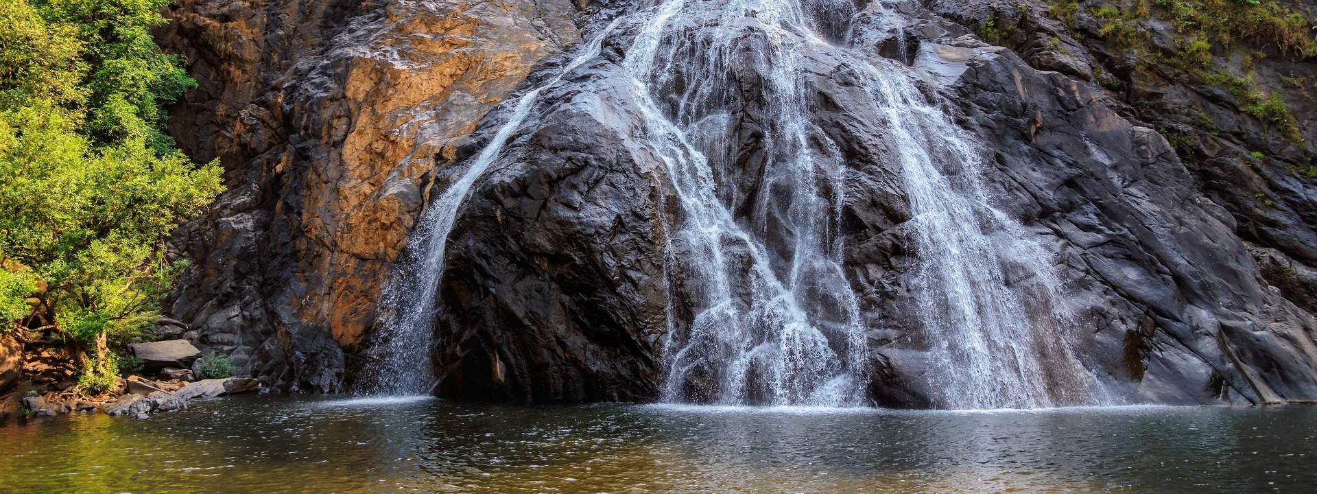 Dudhsagar Waterfall Day Tour from Goa