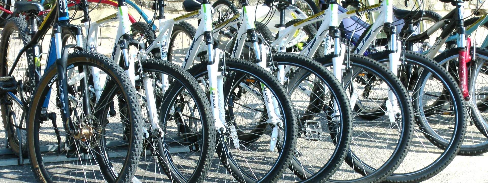 Jaipur Morning Bicycle Tour