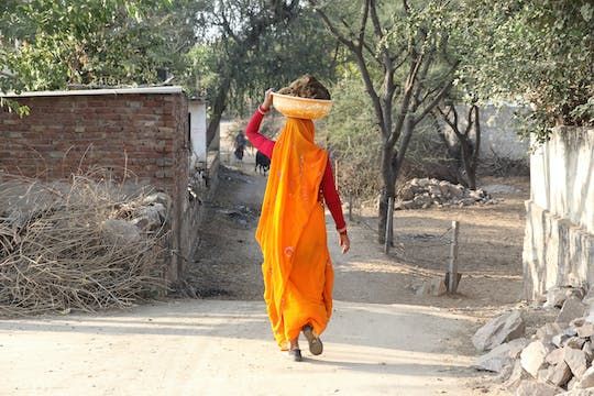 Jaipur village tour with farm-to-table experience