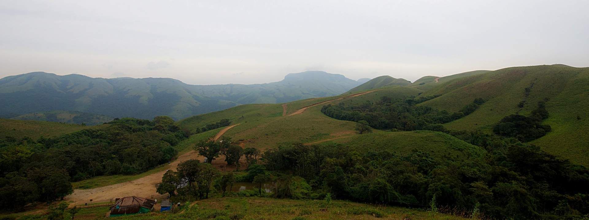 Karkette Peak Trek in Coorg