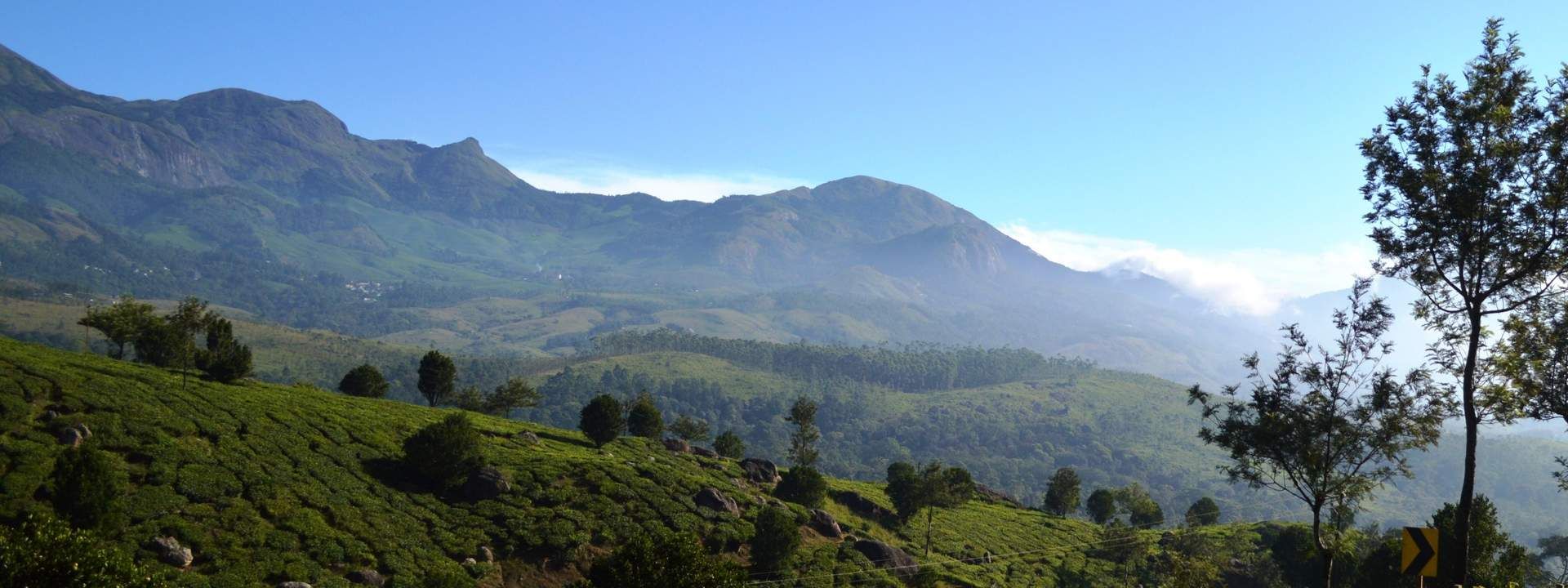 Lakshmi Hills Trekking from Munnar