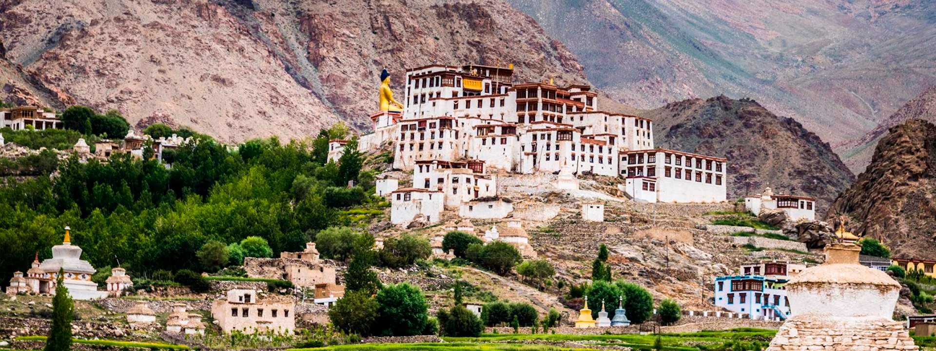 Likir Private Day Trip from Leh