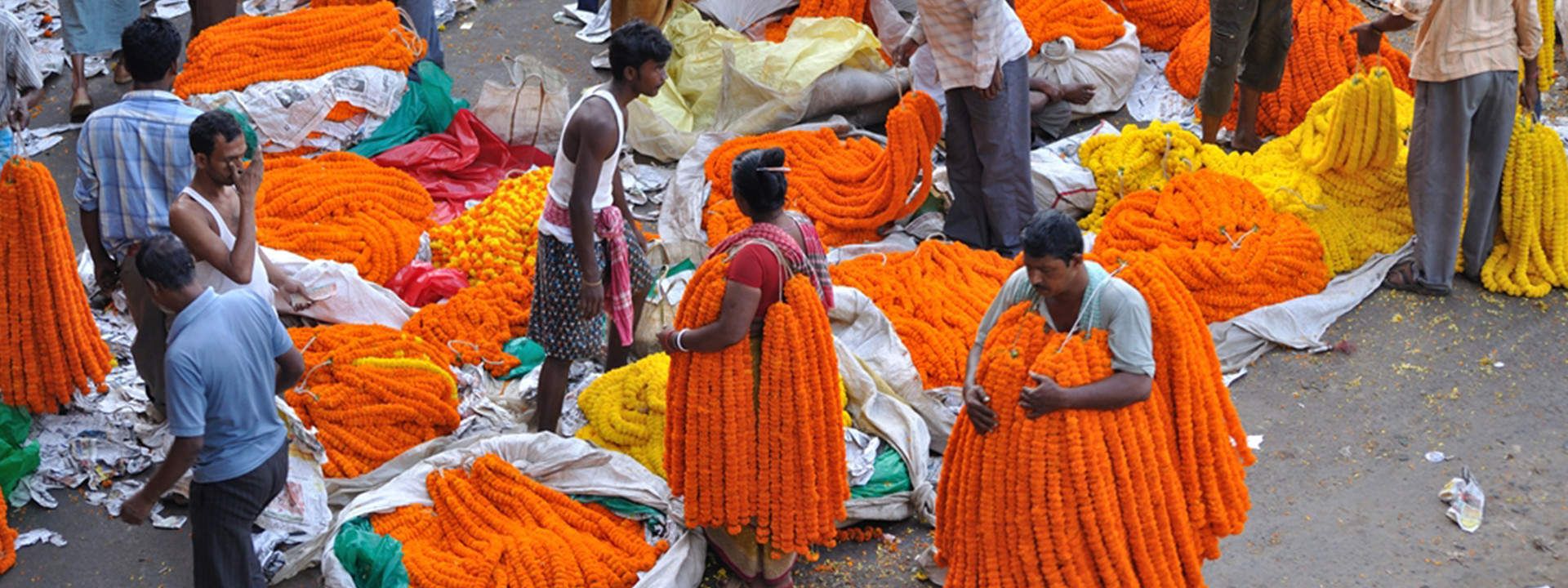 Mallick Ghat Flower Market Morning Walk Tour