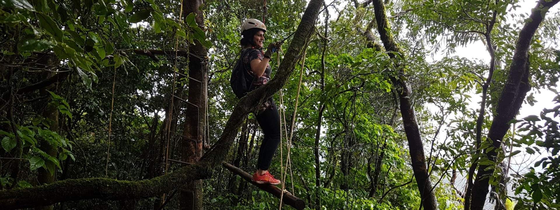 Rainforest Walk and Tree Top Adventure in Coorg