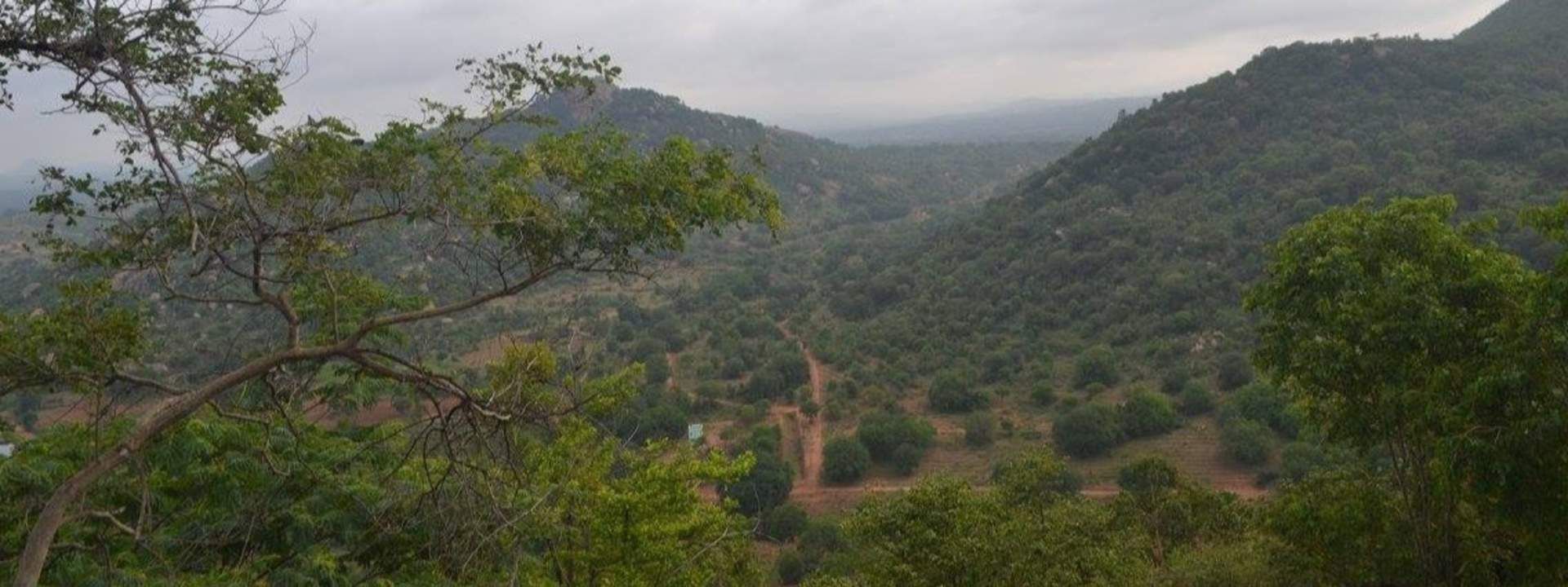 Rangaswamy Betta Sunrise Trek from Bangalore
