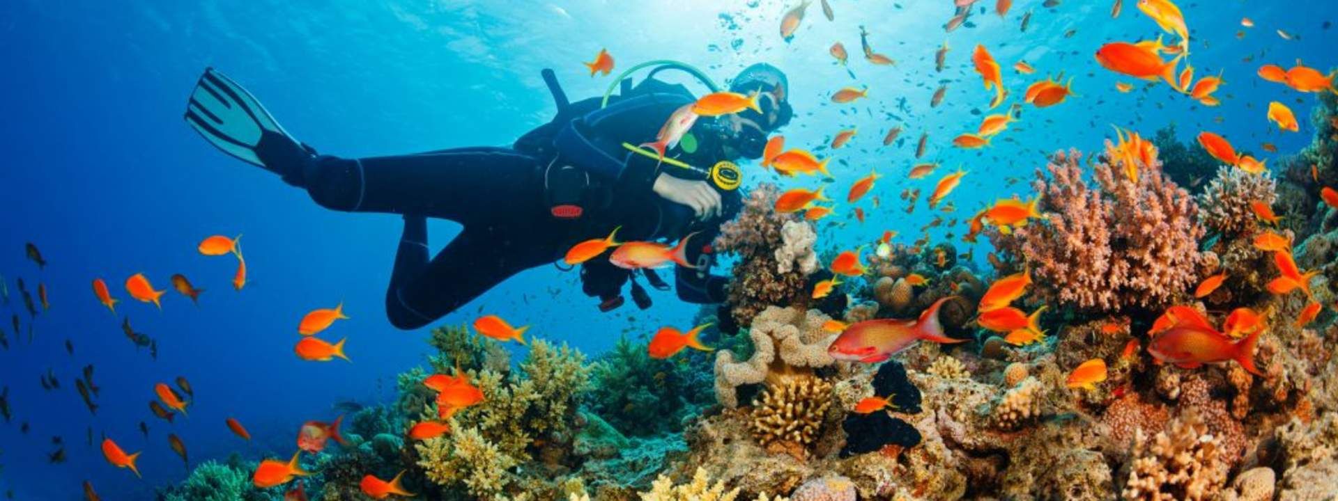 Scuba Diving and Water Sports Combo Experience in Grande Island