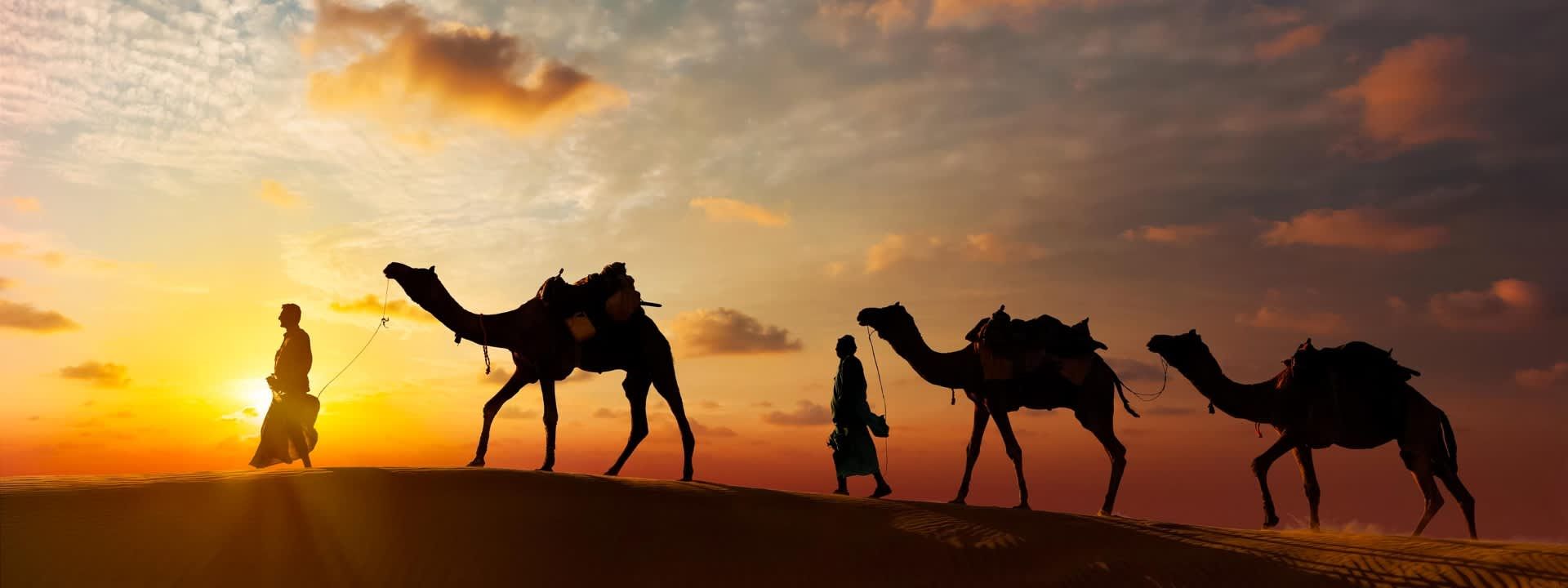 Sunset Camel Safari Adventure In Pushkar