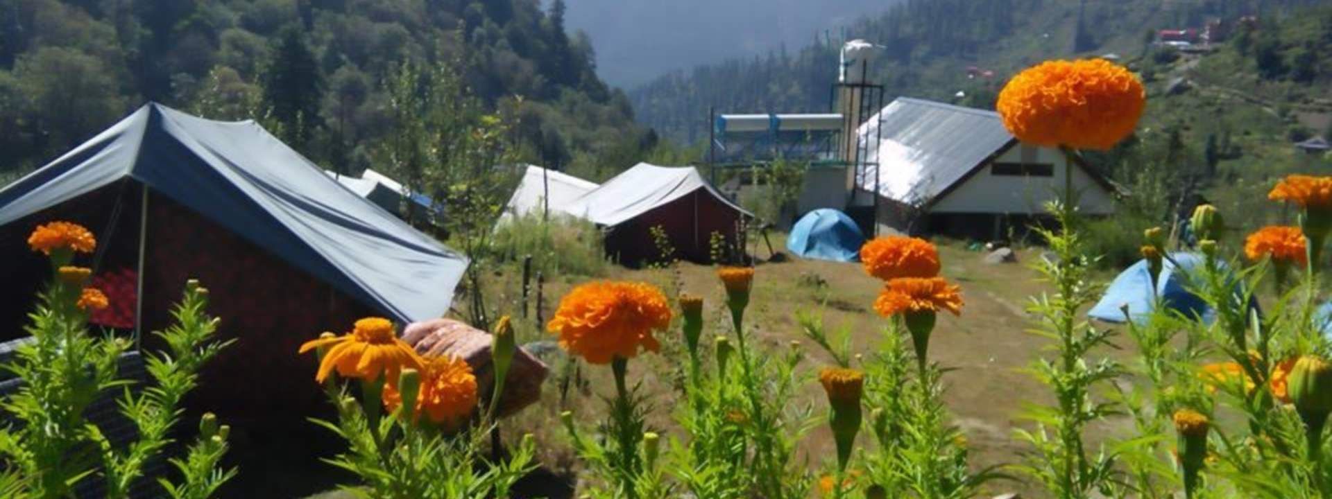Tosh Valley 2 Day Trek in Himachal Pradesh