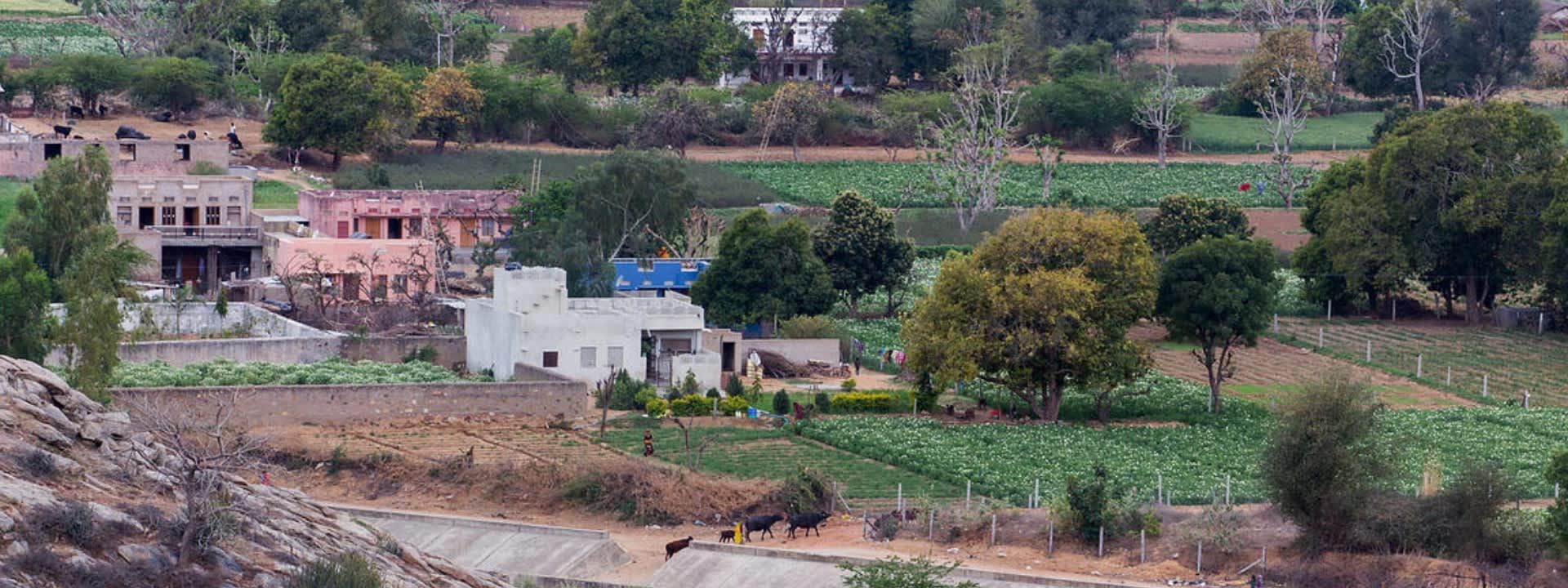Village Excursion In Pushkar