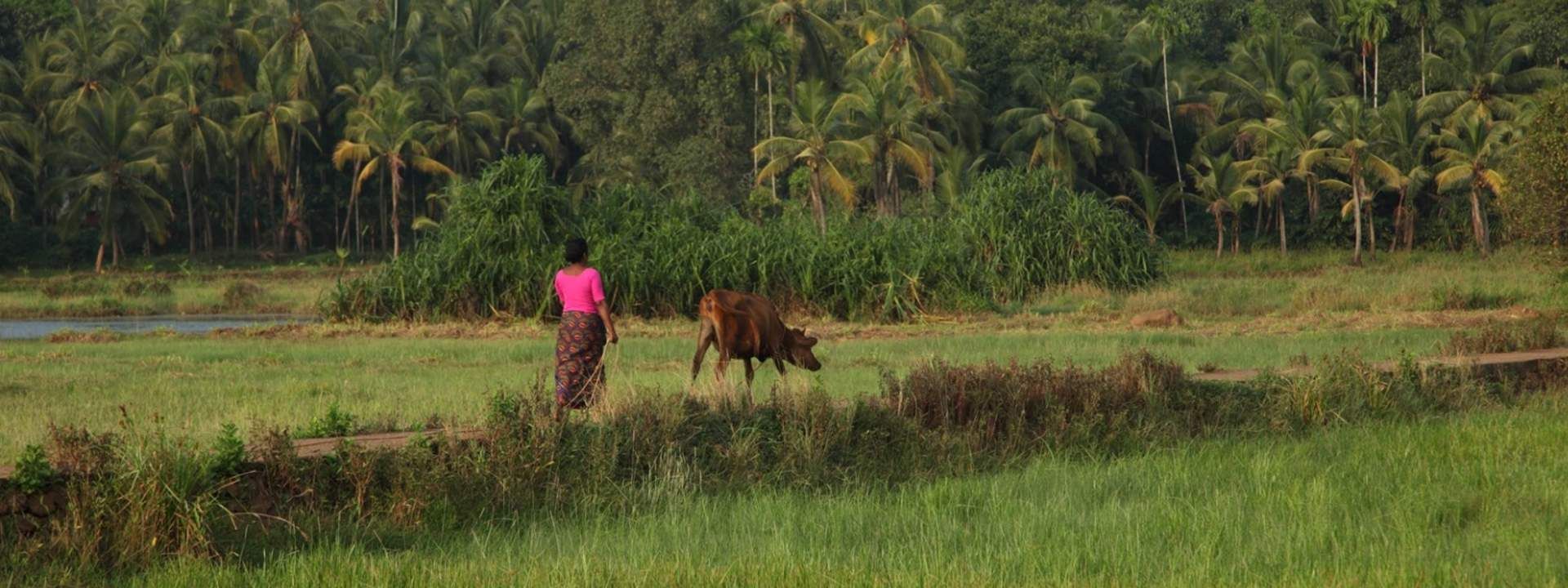 Village Walking Tour in Nileshwar