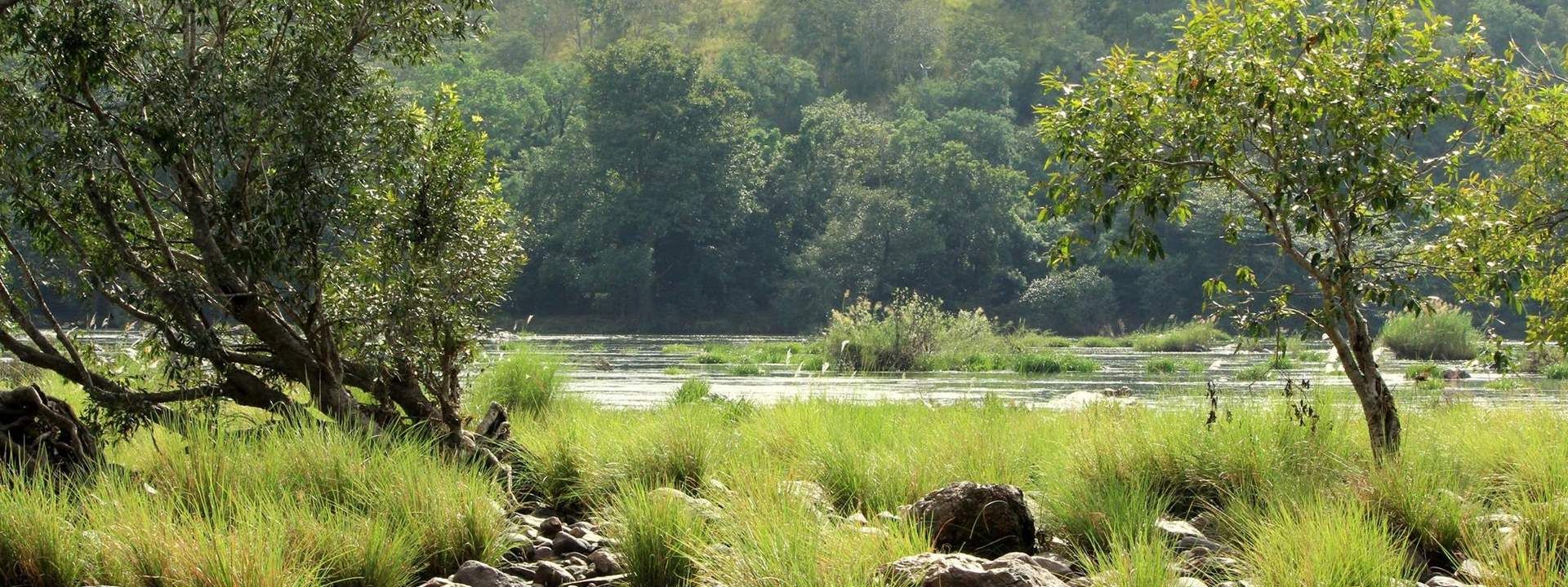 Weekend Cycling Tour to Bheemeshwari through Muthathi Forest from Bangalore