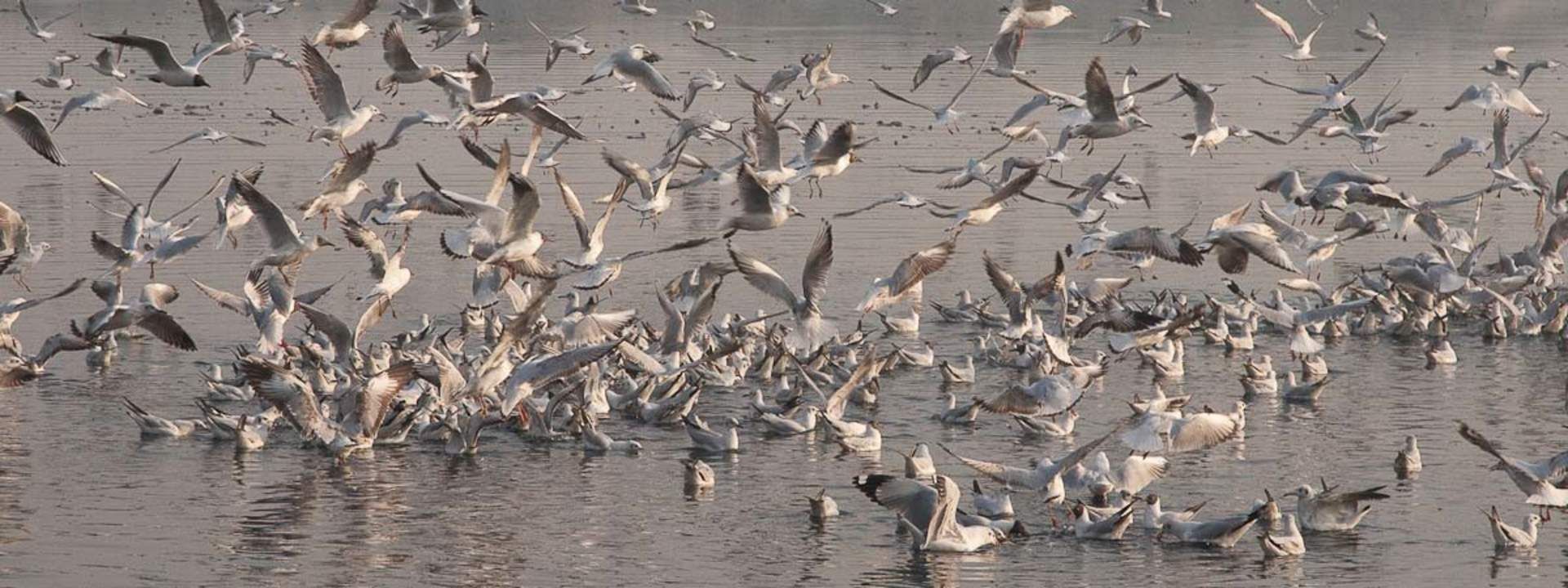 Yamuna River Morning Cycling Tour