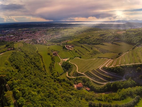 Amarone wine E-bike tour