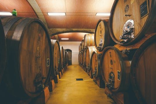 Amarone wine trail tour from Verona
