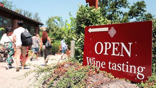 Chianti morning tour with wine and food tastings