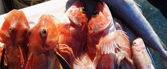 Fishing experience in Capri from Sorrento with lunch