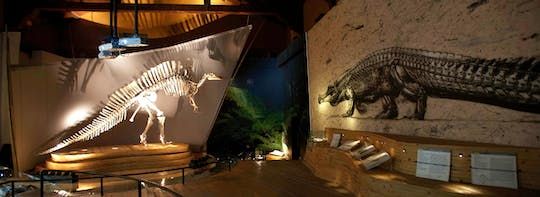 Museum of Natural History of Venice entrance tickets