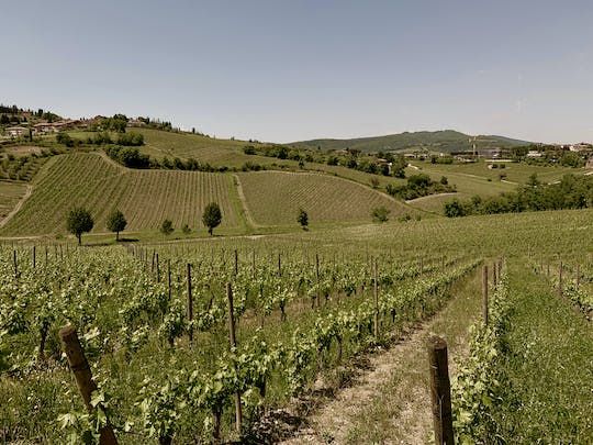 Private wine experience in Chianti and Radda in Chianti