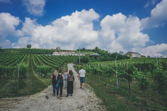 Prosecco wine tour from Venice