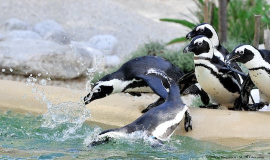 Tickets for Bioparco di Roma