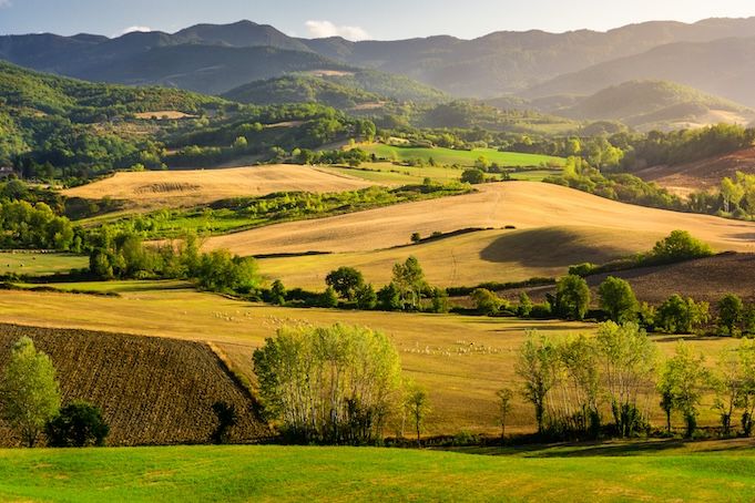 Tuscany by bike and saffron tasting