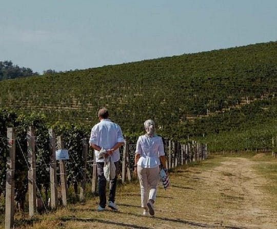 Valpolicella classical wine tasting