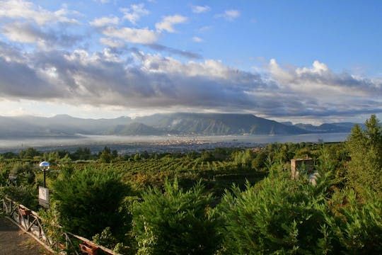 Wine tour with lunch and wine tasting