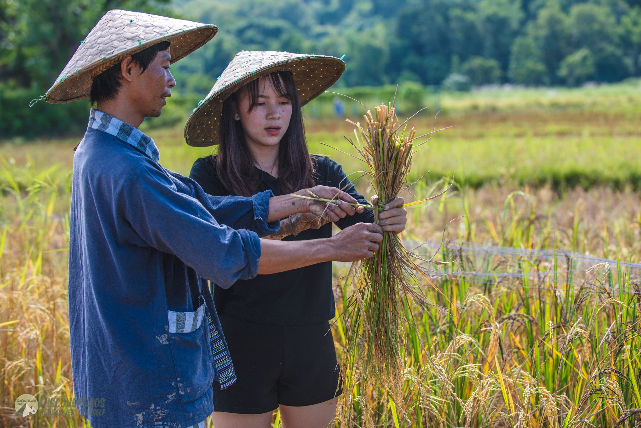 Live Off Rice กิจกรรม Half-Day Rice Experience at The Living Land Farm