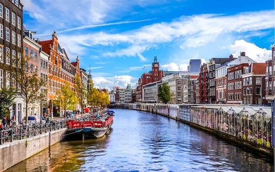 The high life, Amsterdam's coffeeshops online exploration game