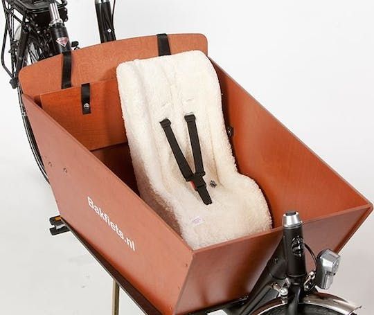 1-day cargo bike rental in Amsterdam