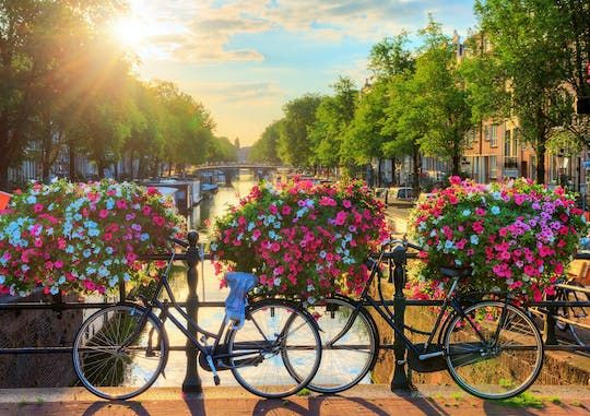 Amsterdam's hidden gems bike tour