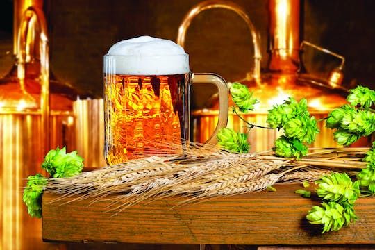 Beer Tasting at the De Hemmel Brewery