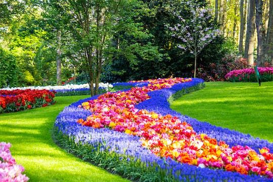Best of Keukenhof guided tour with bulb farm visit and cruise