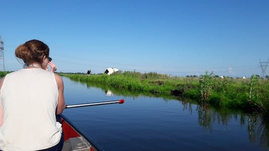Guided canoe tour in the wetlands close to Amsterdam