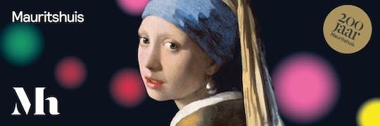 Mauritshuis The Hauge entrance ticket