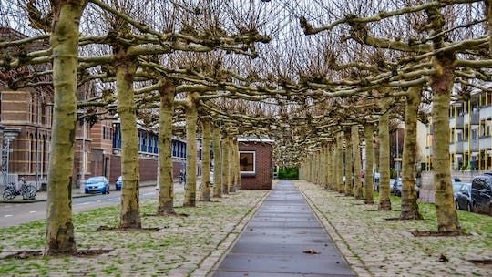 Self-guided Discovery Walk in Amsterdam's East multicultural secrets