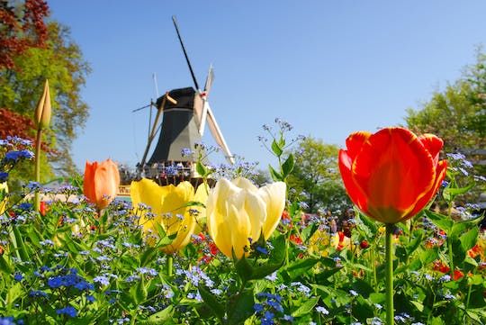 Skip-the-line Keukenhof ticket with transfer and windmill cruise