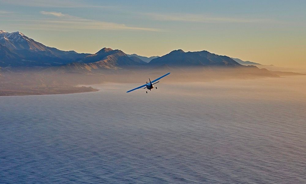 30 Minute Kaikoura Whale Watch Seaplane Flight
