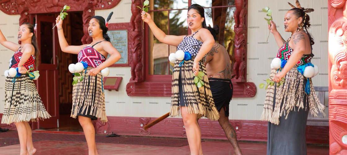 Day Pass including Guided Tour and Cultural Performance