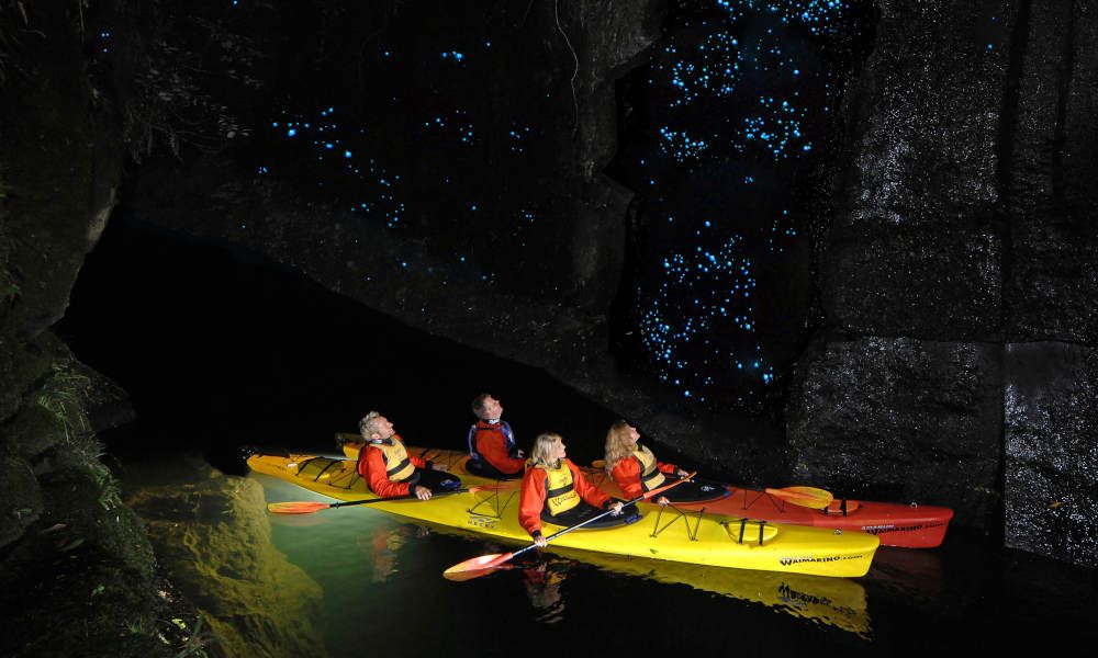 Evening Glow Worm Kayak Tour from Tauranga including Wine Tasting