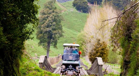 Full Day 20 Tunnel Rail Cart Experience