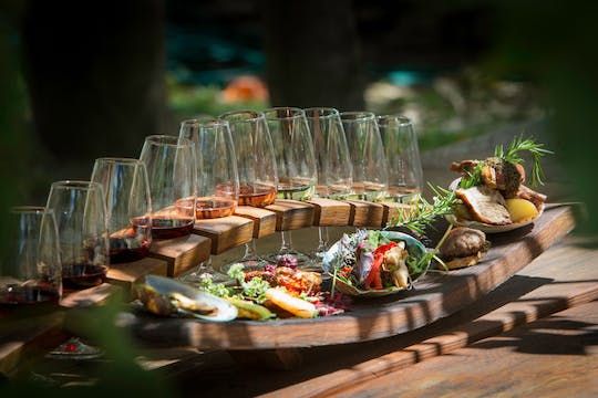 Gourmet wine tour in Central Otago region