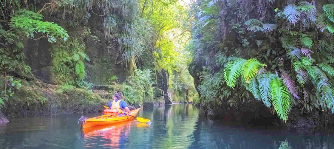 Scenic Lake Mclaren Kayak Tour