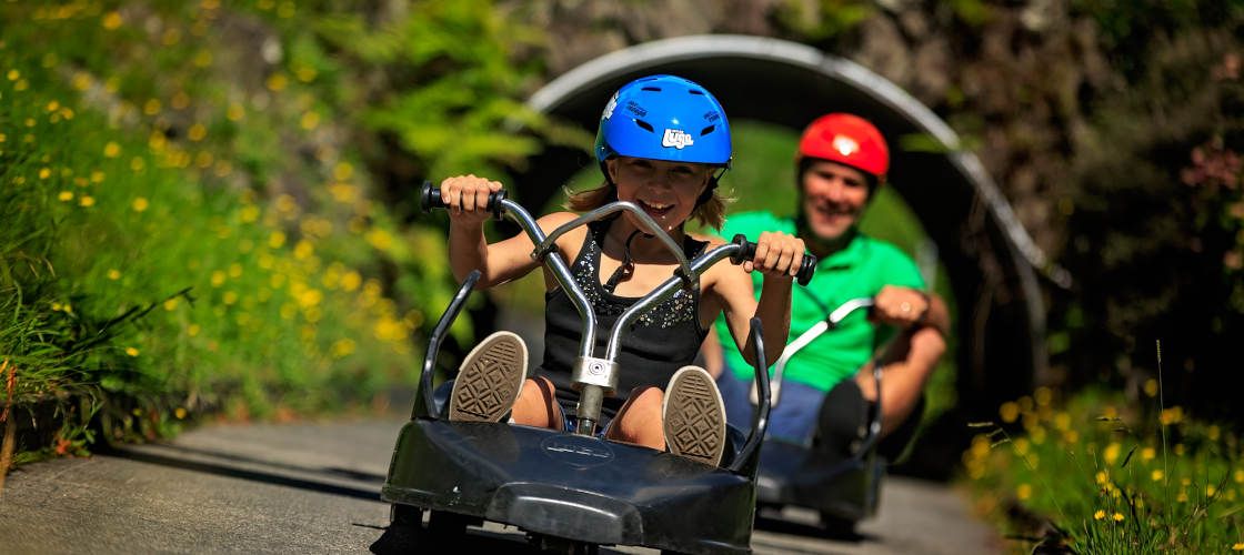 Skyline Gondola and 5 Luge Runs