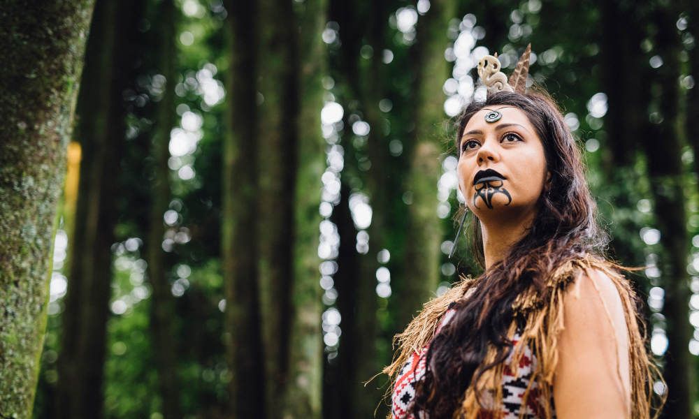 Tamaki Maori Cultural Experience with 3 Course Dinner