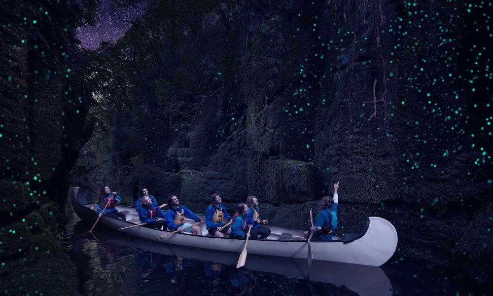 Tauranga: Big Kanu Evening Glow Worm Tour