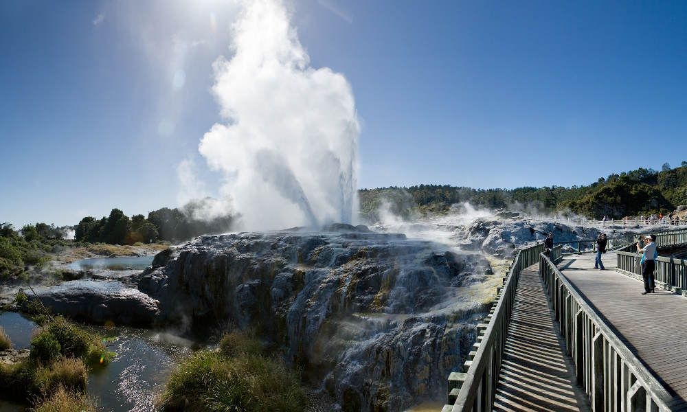 Te Puia Geothermal and Maori Culture Experience