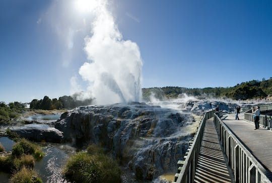Te Puia Geothermal Valley experience
